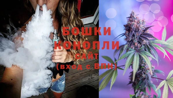 прущие грибы Баксан