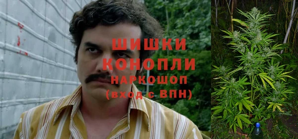 прущие грибы Баксан